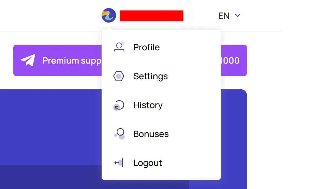 ChangeIt account menu: Profile, Settings, History, Bonuses, Logout